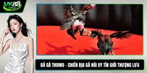 Đá gà Thomo