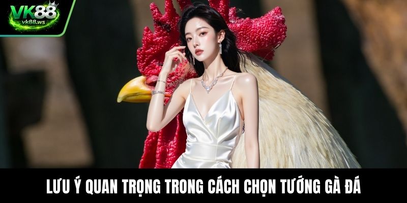 Lưu ý quan trọng trong cách chọn tướng gà đá