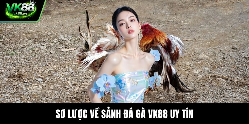 Sơ lược về sảnh đá gà VK88 uy tín
