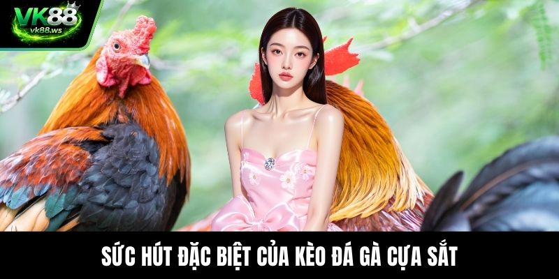 Sức hút đặc biệt của kèo đá gà cựa sắt